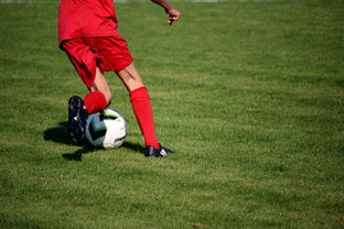 九游体育官网入口-职业俱乐部推动退役球员培训转型教练岗位，职业选手退役当教练