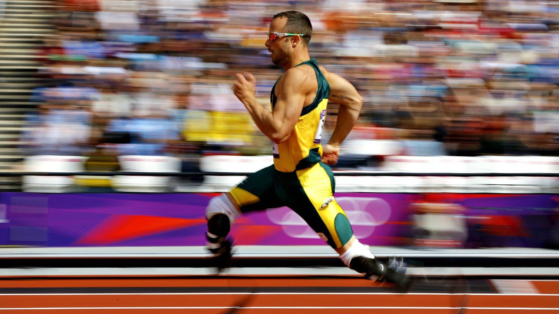 9体育-自由泳短距离南非速度飞驰，自由泳比赛最长距离